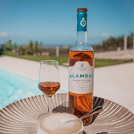 Marlin House Iv Ferrel